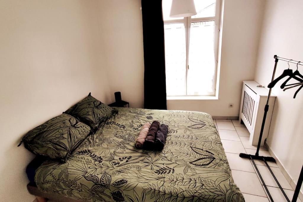 Logement Entier Proche Tribunaux Douai Esterno foto